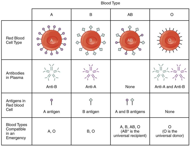 You may have a high risk of stroke depending on your blood group Hong